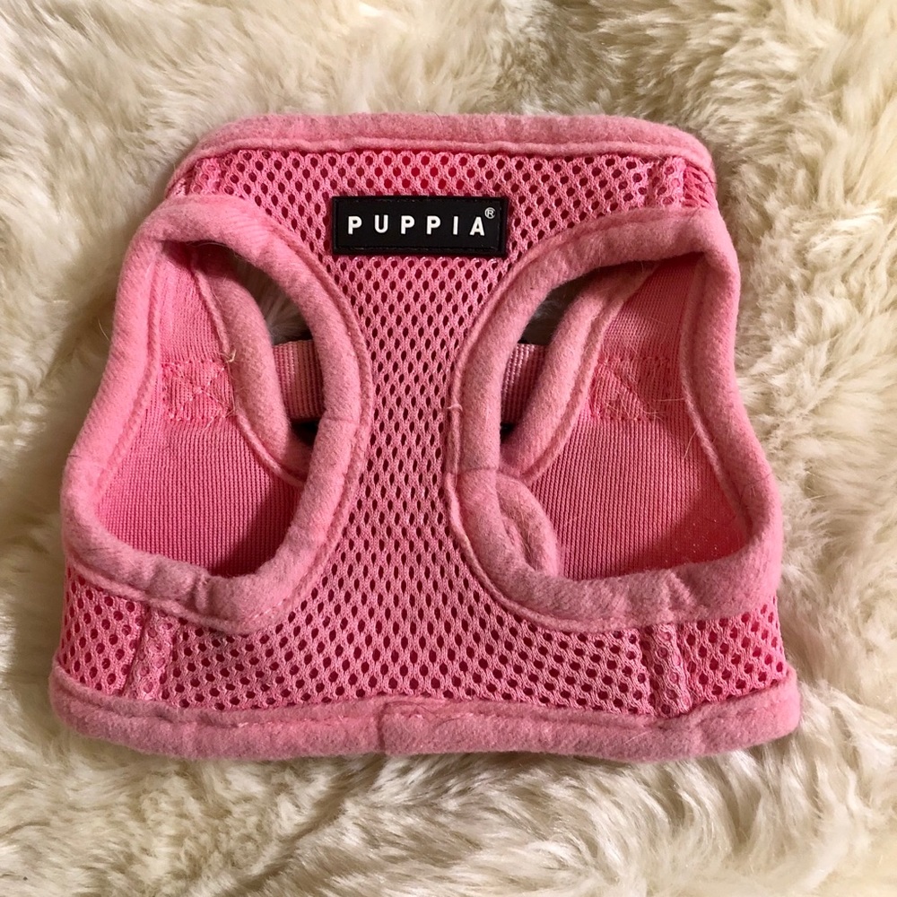 BUNDLE Puppy harness and collar